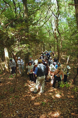 2012-05-09-10-53-13_ya.jpg