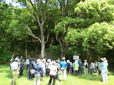 2012-05-09-11-28-22_ky.jpg