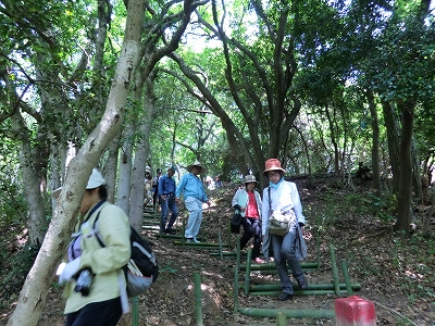 2012-05-09-11-38-21_ky.jpg