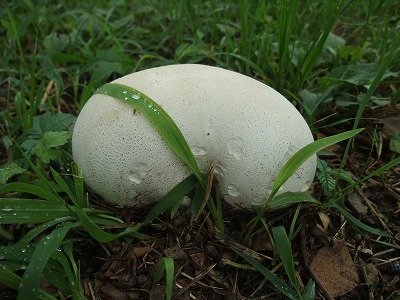 2012-07-03-14-33-21_aa.jpg