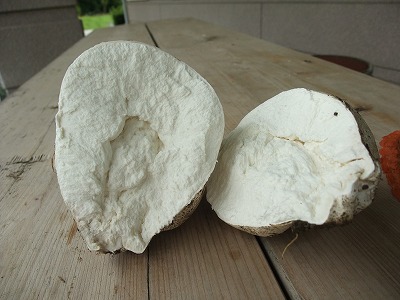2012-07-03-14-56-33_aa.jpg