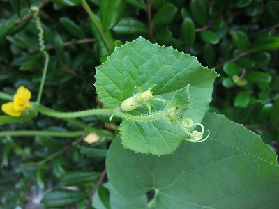 2012-07-31-11-24-56_aa.jpg