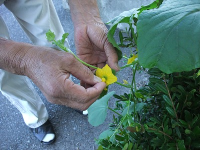 2012-08-03-08-51-40_aa.jpg