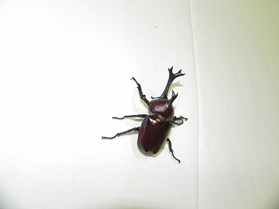 2012-08-07-20-10-13_ky.jpg