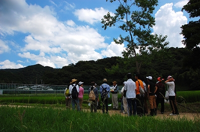 2012-08-20-13-19-48_ya.jpg