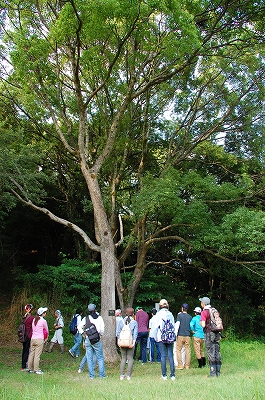 2012-08-20-15-37-54_ya.jpg