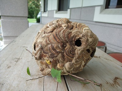 2012-08-27-11-33-41_aa.jpg