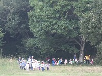 2012-10-11-10-49-40_aa.jpg