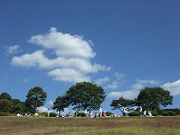 2012-10-19-11-37-06_aa.jpg