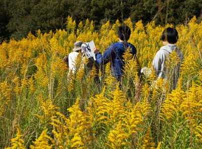 2012-10-19-1_yu.jpg