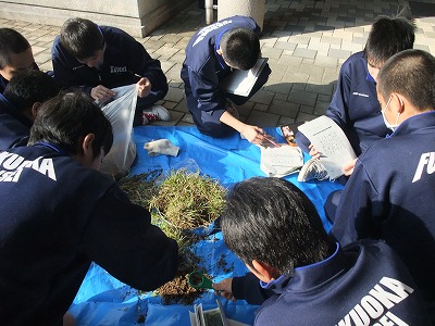 2012-11-08-14-27-07_aa.jpg