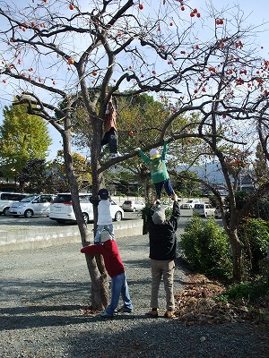 2012-11-21-10-07-03_aa.jpg