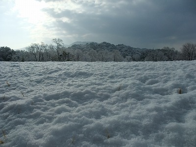 2013-01-18-09-13-22_aa.jpg