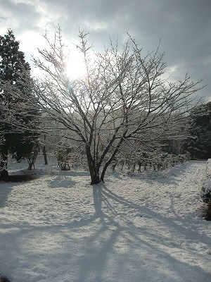 2013-01-18-09-27-34_aa.jpg