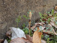 2013-03-07-23-23-41_aa.jpg