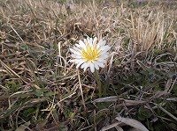 2013-03-07-23-28-14_aa.jpg