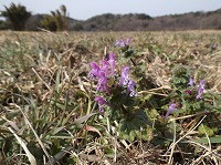 2013-03-07-23-29-01_aa.jpg