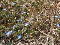 2013-03-07-23-31-03_aa.jpg