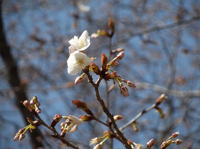 2013-03-16-02-25-32_aa.jpg