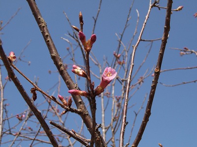 2013-03-16-02-30-46_aa.jpg