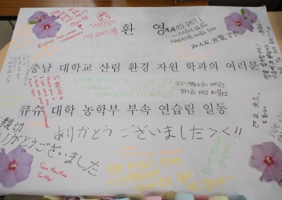 2013-05-30-2_kt.JPG