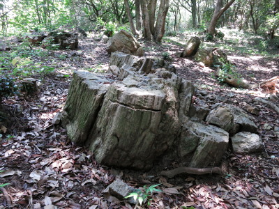 2013-08-02-11-35-55_yu.jpg