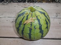 2013-09-03-13-35-52_KH.jpg