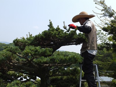 2014-05-15-14-34-47_hk.jpg