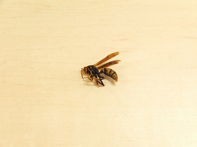 2014-06-10-09-54-04_hk.jpg