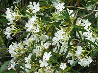 2014-06-10-11-37-38_hk.jpg