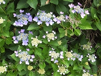 2014-06-10-11-42-11_hk.jpg
