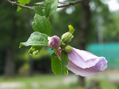 2014-06-24-09-31-04_hk.jpg