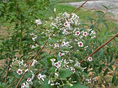 2014-08-28-15-17-4_hk.jpg
