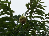 2014-08-28-15-19-55_hk.jpg