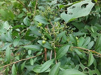 2014-09-03-13-33-57_hk.jpg