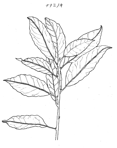 20141020kogagahaku.png