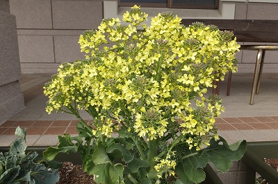 2015-03-06-14-53-58_hk.jpg