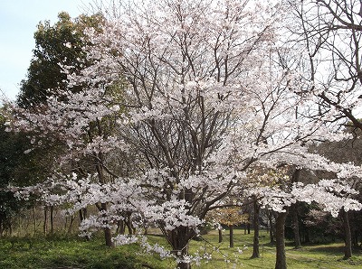 2015-03-31-02-26-26_hk.jpg