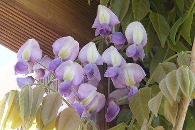 2015-04-21-10-24-33_hk.jpg