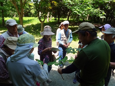 2015-05-21-11-09-55_ky.jpg