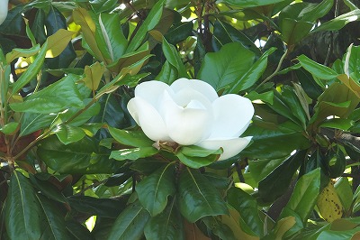 2015-06-04-10-08-14_hk.jpg