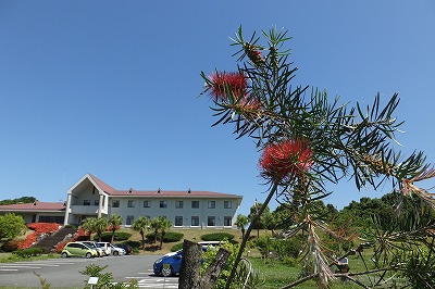 2015-06-04-10-22-29_hk.jpg