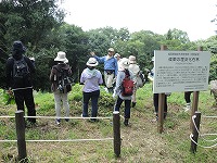 2015-07-27-11-54-40_sa.jpg