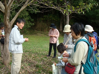 DSC02414.jpg