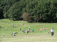 DSCF8377.jpg