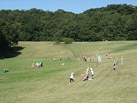 DSCF8383.jpg