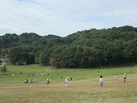 DSCF8404.jpg