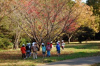 DSC_3134.jpg