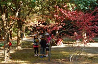 DSC_3152.jpg