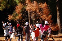 DSC_3181.jpg